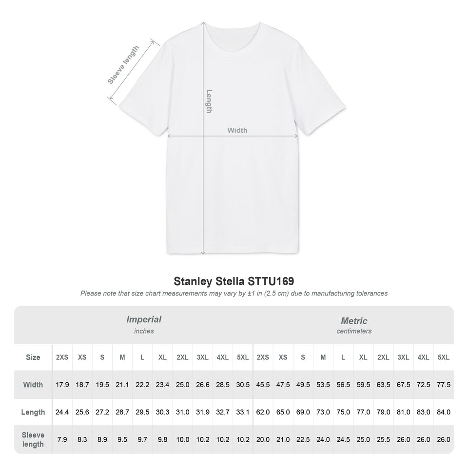 Asterisk t-shirt i ekologisk bomull
