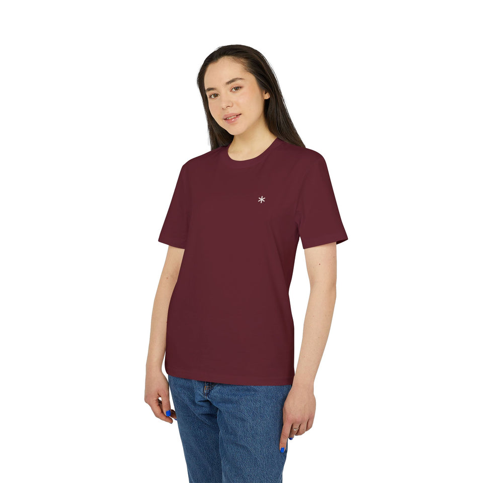 Asterisk t-shirt i ekologisk bomull