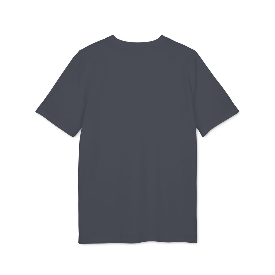 Asterisk t-shirt i ekologisk bomull