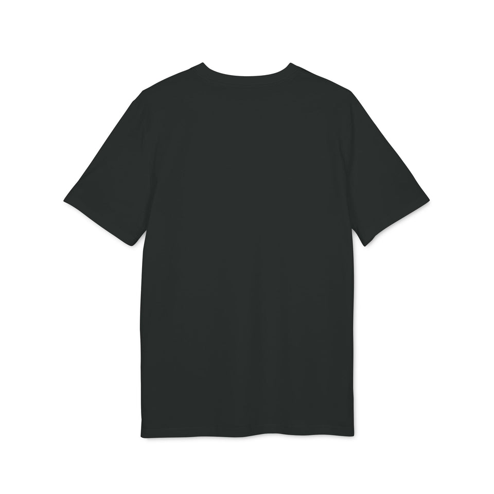 Asterisk t-shirt i ekologisk bomull