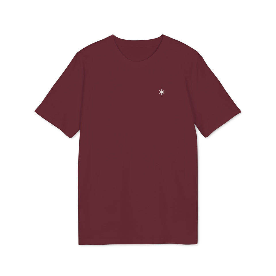 Asterisk t-shirt i ekologisk bomull