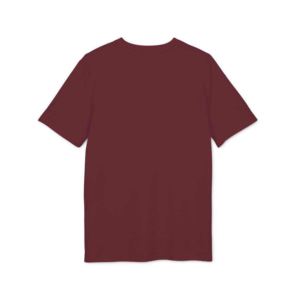 Asterisk t-shirt i ekologisk bomull