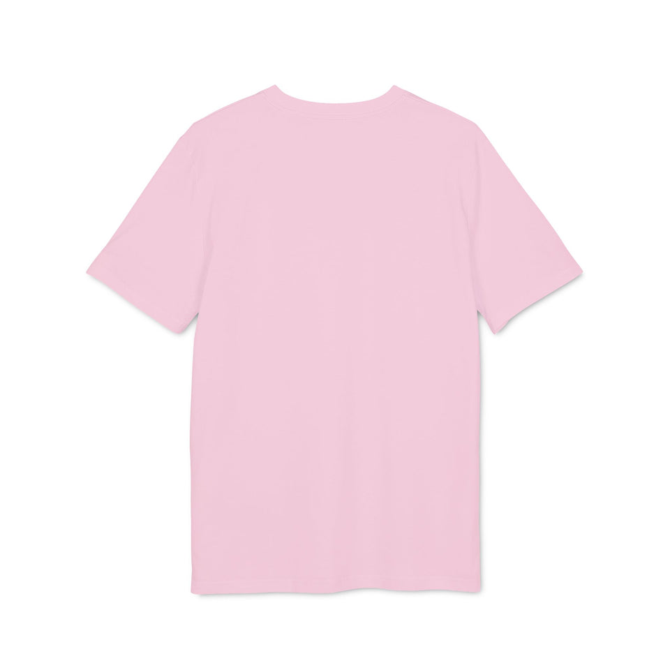 Asterisk t-shirt i ekologisk bomull