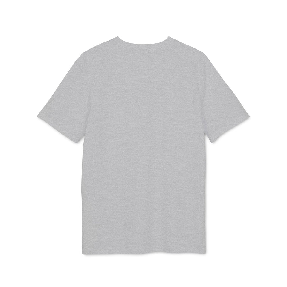 Asterisk t-shirt i ekologisk bomull