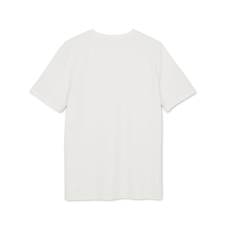 Asterisk t-shirt i ekologisk bomull