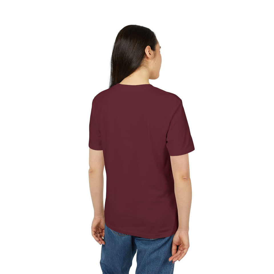 Asterisk t-shirt i ekologisk bomull