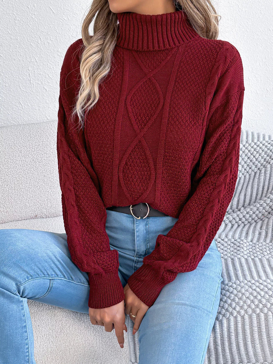 Turtleneck Cable Knit Sweater